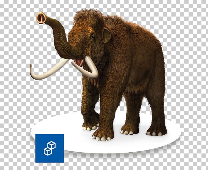 Paleolithic Woolly Mammoth Extinction Stone Age Ice Age PNG, Clipart, African Elephant, Animal, Background Extinction Rate, Cave, Deextinction Free PNG Download