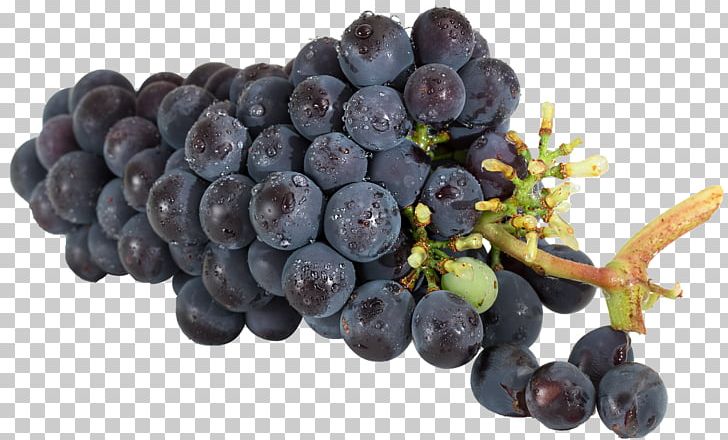 Wine Common Grape Vine Food Seedless Fruit PNG, Clipart, Berry, Bilberry, Blueberry, Chokeberry, Common Grape Vine Free PNG Download