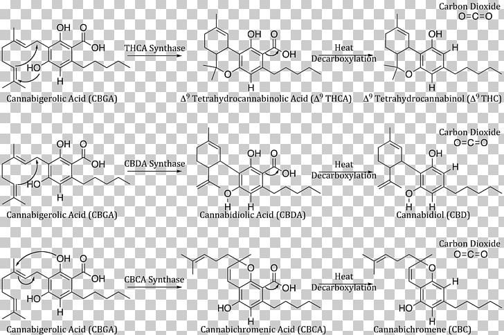Cannabidiol Tetrahydrocannabinol Cannabigerol Cannabis Cannabinoid PNG, Clipart, Angle, Auto Part, Black And White, Cannabidiolic Acid Synthase, Cannabinol Free PNG Download