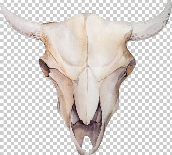 Cattle Stock Photography Skull Flower Floral Design PNG, Clipart, Bohochic, Bone, Bull, Cattle, Cattle Like Mammal Free PNG Download