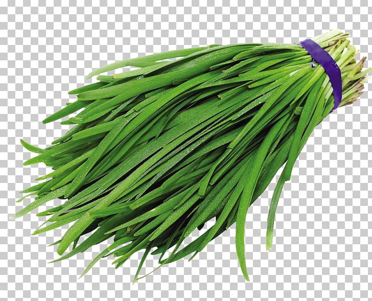 Chinese Cuisine Garlic Chives Vegetable PNG, Clipart, Allium, Boi, Chinese Cuisine, Chives, Commodity Free PNG Download