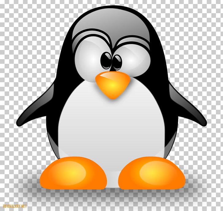 Linux System Administrator Unix Computer Software PNG, Clipart, Beak, Bird, Command, Commandline Interface, Computer Security Free PNG Download