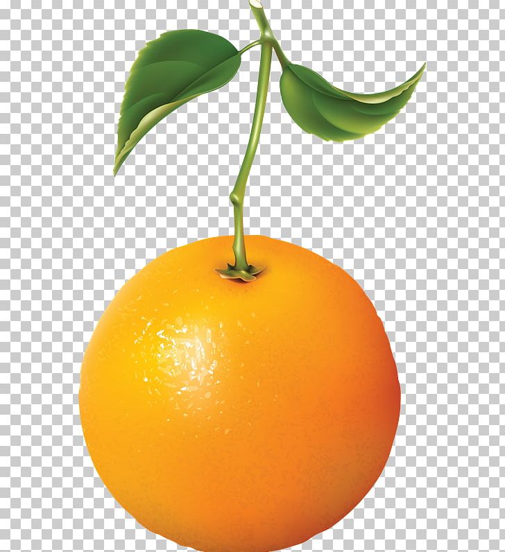 Natural Foods Food Orange PNG, Clipart, Bitter Orange, Citric Acid, Citrus, Clementine, Desktop Wallpaper Free PNG Download