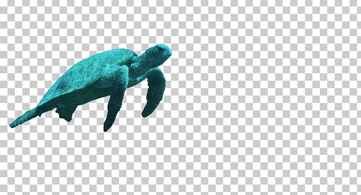 Sea Turtle Reptile Turquoise Teal PNG, Clipart, Animal Figure, Animals, Author, Beak, Birthday Free PNG Download