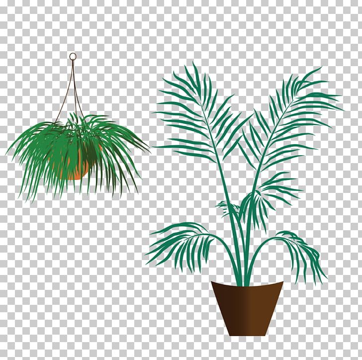 Arecaceae Flowerpot Grasses Houseplant Plant Stem PNG, Clipart, Arecaceae, Arecales, Eco Clean Asia Dry Cleaners, Family, Flowering Plant Free PNG Download