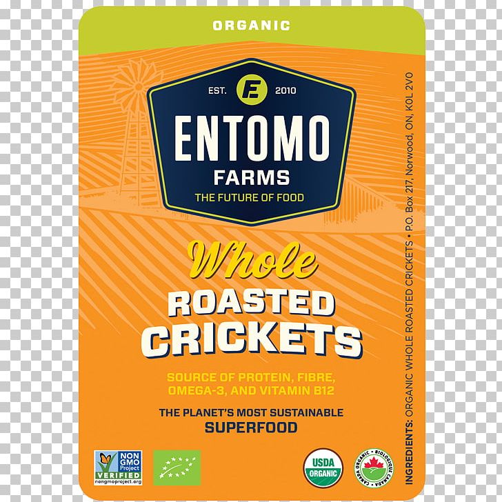 Insect Cricket Flour Entomophagy Food Powder PNG, Clipart, Animals, Bodybuilding Supplement, Brand, Complete Protein, Cricket Free PNG Download