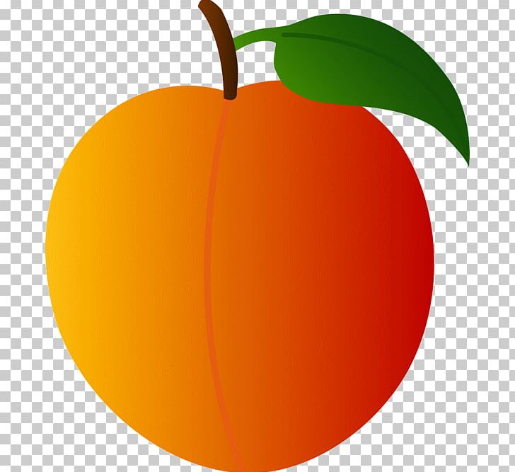 Peach PNG, Clipart, Apple, Apricot, Art, Circle, Citrus Free PNG Download