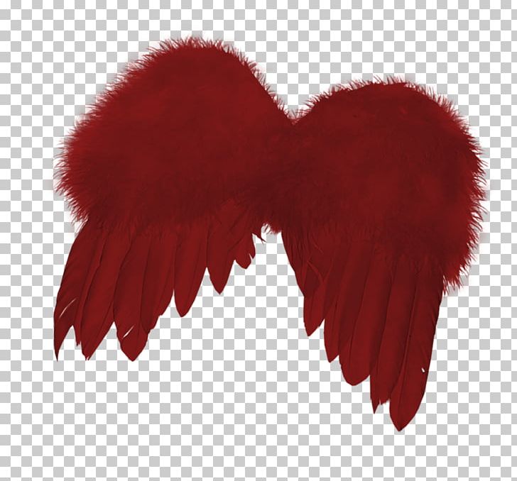 Red Wing Encapsulated PostScript PNG, Clipart, Computer Icons, Download, Encapsulated Postscript, Feather, Fur Free PNG Download