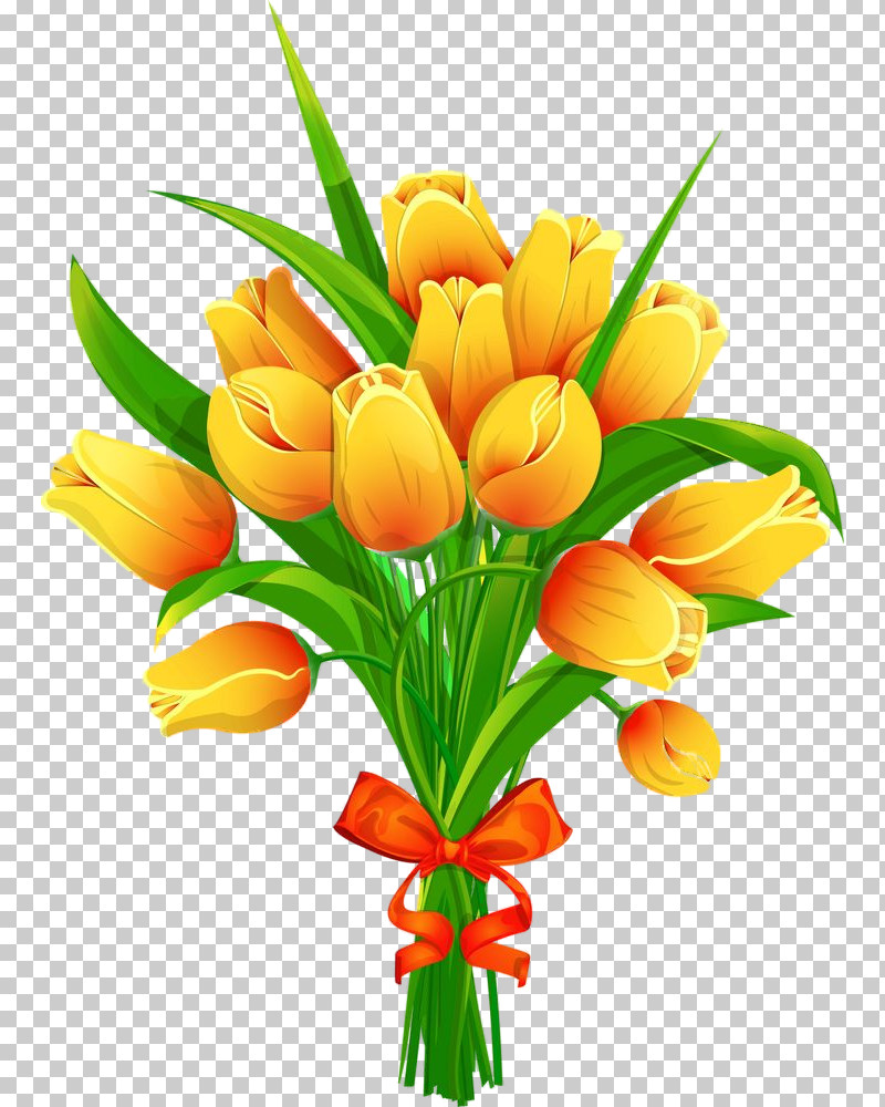 Orange PNG, Clipart, Bouquet, Cut Flowers, Flower, Orange, Plant Free PNG Download