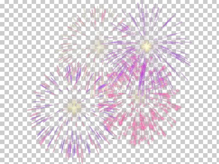 Adobe Fireworks Pyrotechnics PNG, Clipart, Adobe Fireworks, Cartoon Fireworks, Channel, Download, Firework Free PNG Download