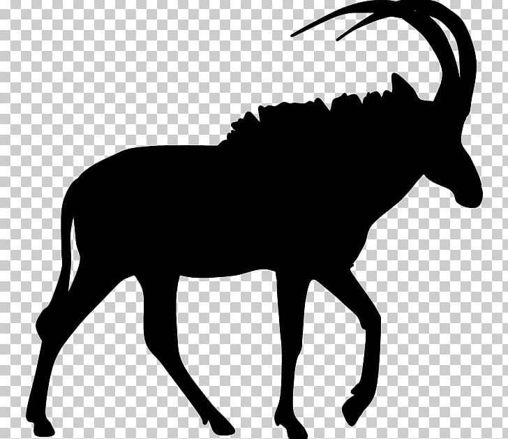 Sable Antelope Pronghorn Impala PNG, Clipart, Animal, Animals, Antelope, Black And White, Caprinae Free PNG Download