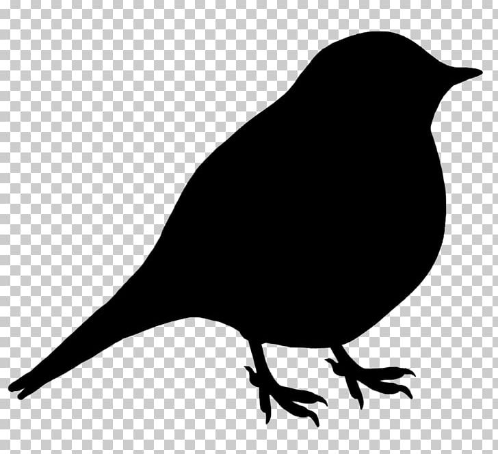Bird Silhouette Gulls PNG, Clipart, American Crow, Animals, Beak, Bird, Bird Flight Free PNG Download
