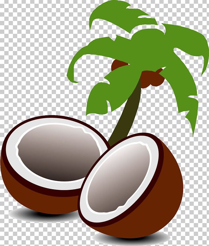 Coconut Water Coconut Milk Fruit Tree PNG, Clipart, Auglis, Cartoon, Coconut, Coconut Leaf, Coconut Leaves Free PNG Download