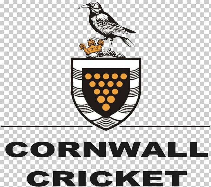 Cornwall Council St Erth Royal Cornwall Show Court PNG, Clipart, Beak, Brand, Citizens Advice, Cornwall, Council Free PNG Download