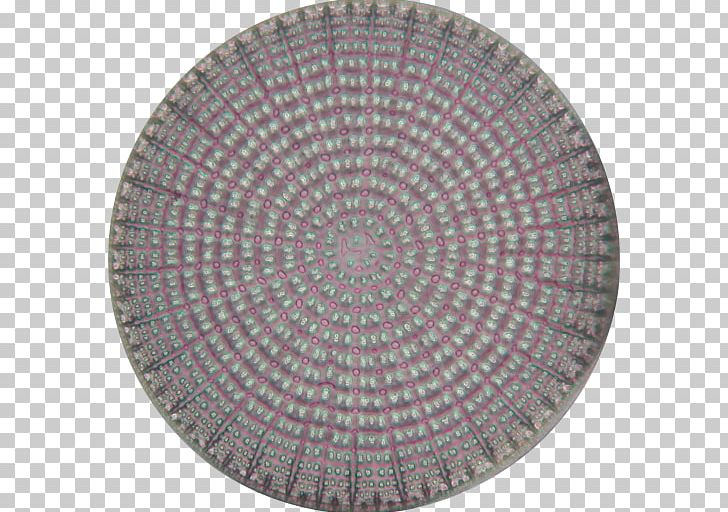 Wikipedia Diatom Recursion PNG, Clipart, Algorithm, Biologie, Circle, Definition, Desktop Wallpaper Free PNG Download