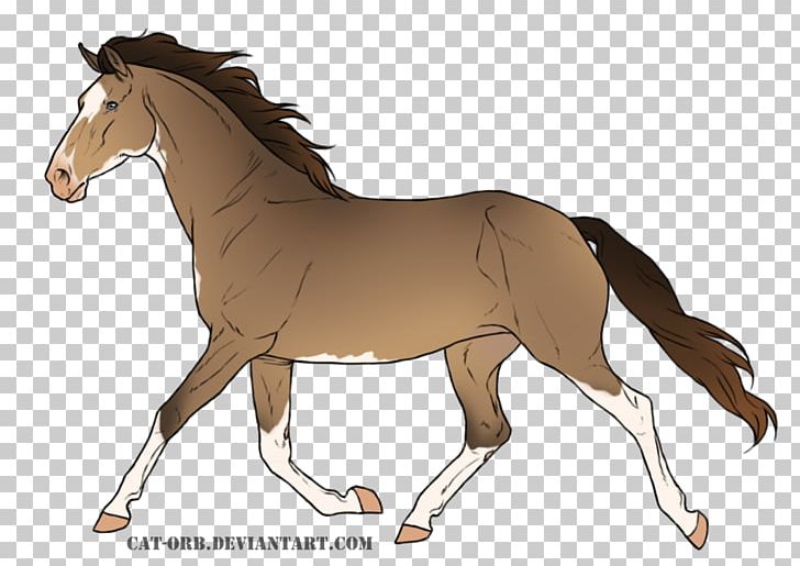 Mustang Foal Stallion Colt Mare PNG, Clipart, Bridle, Colt, Foal, Halter, Horse Free PNG Download