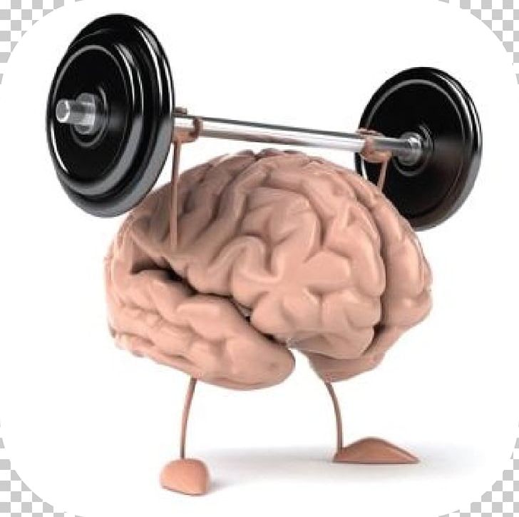 Physical Exercise Physical Fitness Mental Health Cognitive Training PNG, Clipart, Brain, Cognitive Training, Crossfit, Emotion, Endurance Free PNG Download