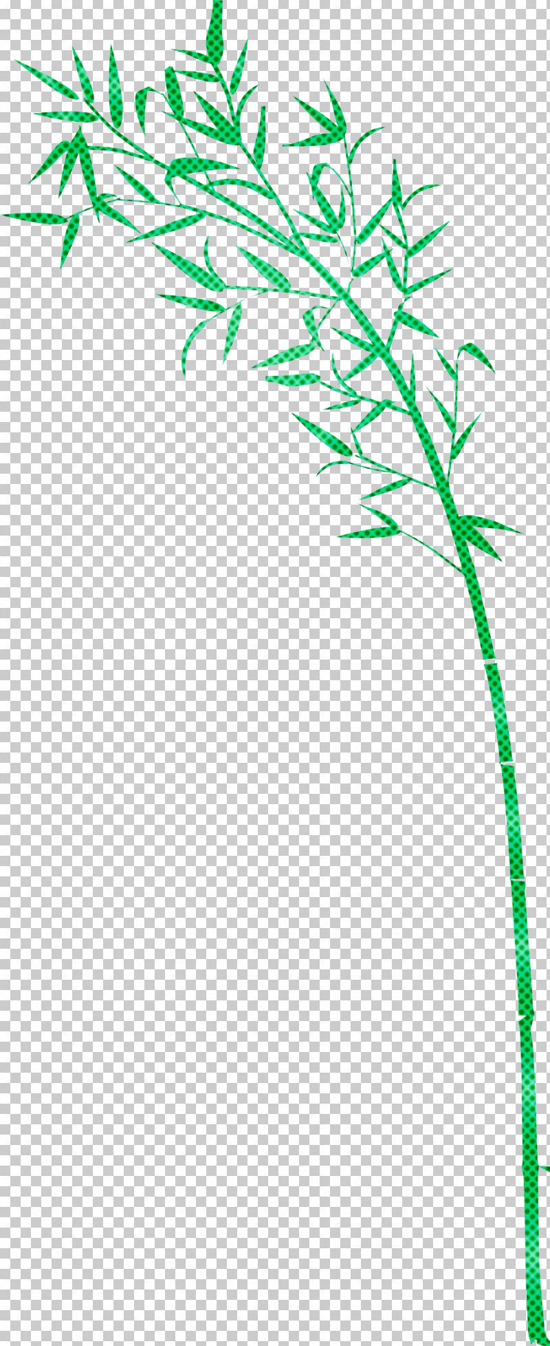 Bamboo Leaf PNG, Clipart, Bamboo, Flower, Grass, Grass Family, Green Free PNG Download