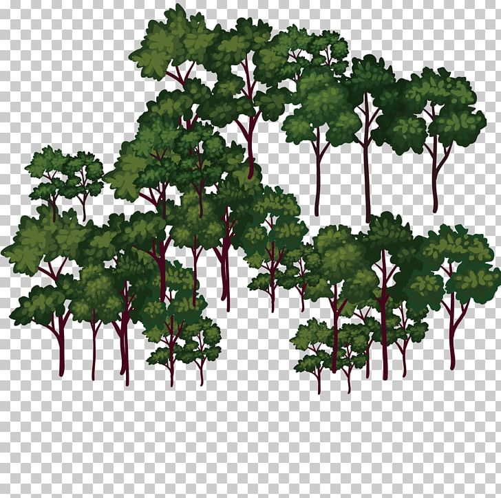 Forest Shulin District PNG, Clipart, Branch, Daxinganling Prefecture, Designer, Download, Flowe Free PNG Download