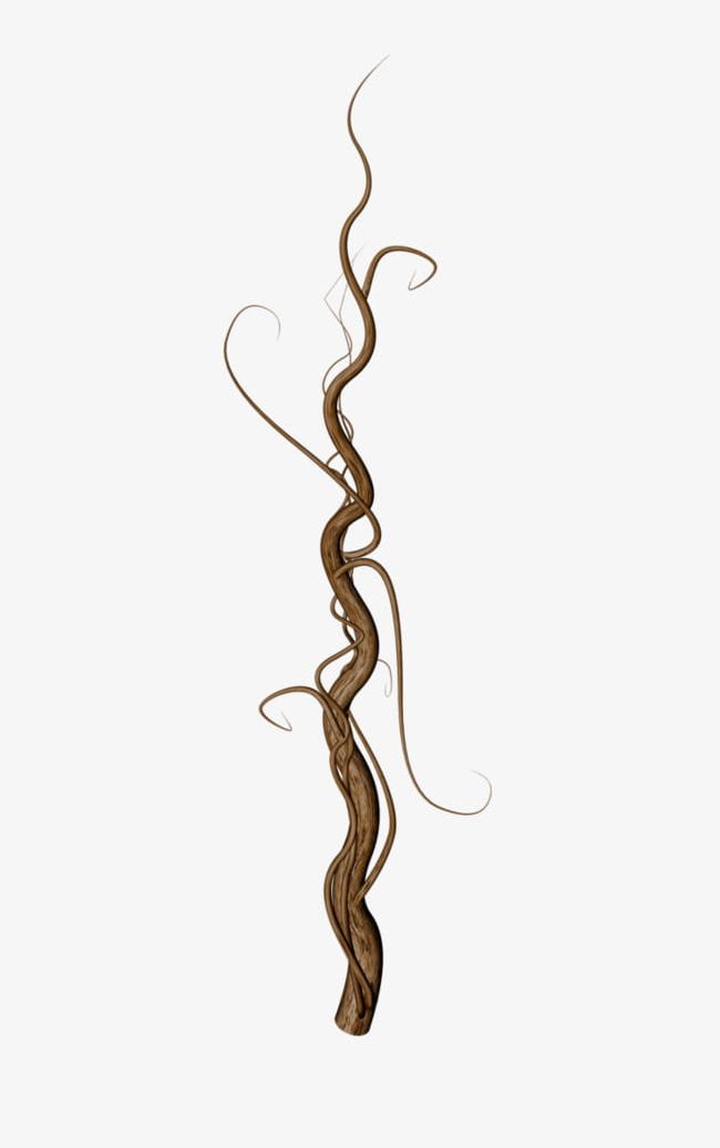 Hand Painted Tree Roots PNG, Clipart, Brown, Brown Roots, Dry, Dry