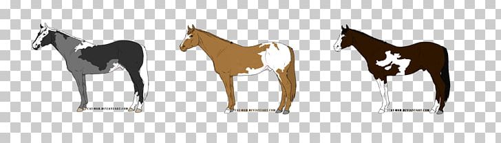 Mustang Foal Colt Stallion Mare PNG, Clipart, Animal, Animal Figure, Bridle, Colt, Foal Free PNG Download