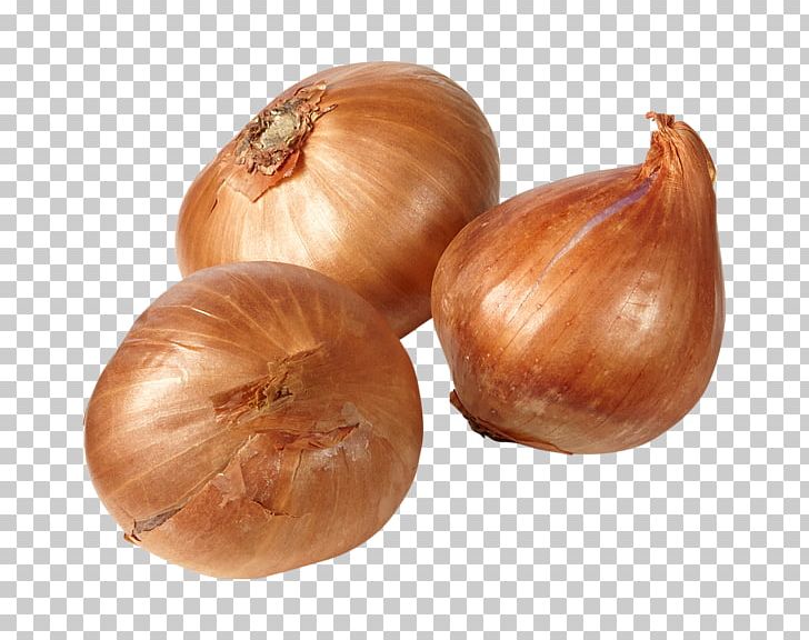 Yellow Onion Shallot PNG, Clipart, Carrot, Food, Ingredient, Onion, Onion Genus Free PNG Download