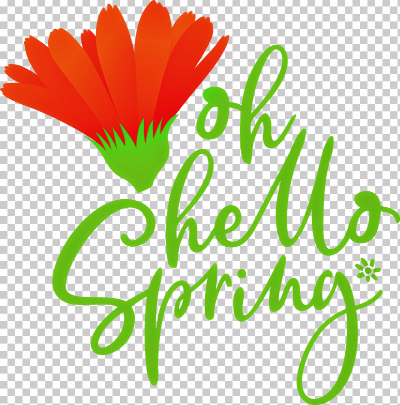 Oh Hello Spring Hello Spring Spring PNG, Clipart, Cut Flowers, Daisy Family, Flower, Grasses, Hello Spring Free PNG Download