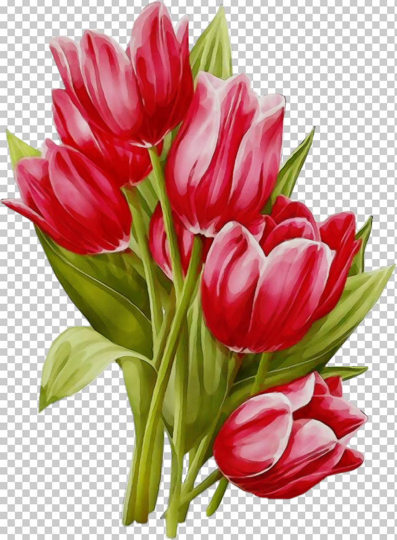 Artificial Flower PNG, Clipart, Anthurium, Artificial Flower, Bouquet, Cut Flowers, Flower Free PNG Download