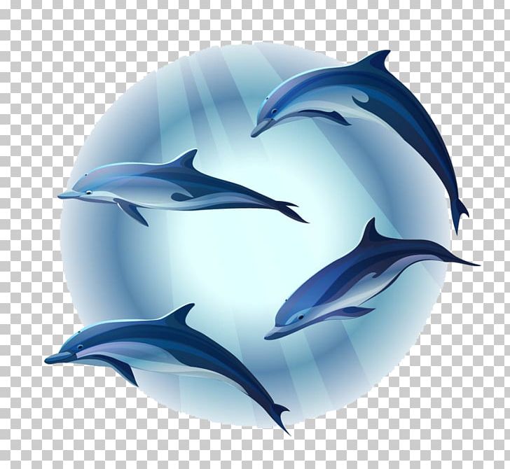 Dolphin Mural PNG, Clipart, Animals, Automotive Design, Canvas, Comm, Computer Wallpaper Free PNG Download