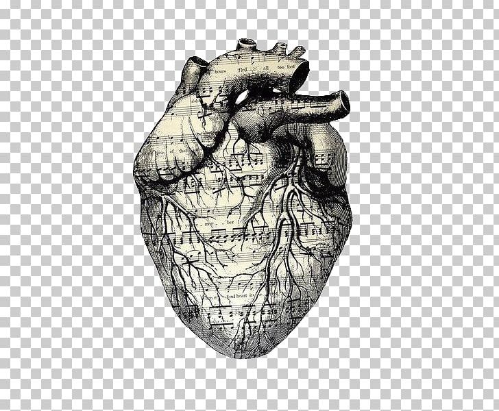 Drawing Heart Musical Theatre PNG, Clipart, Anatomy, Art, Artist, Assemblage, Black And White Free PNG Download