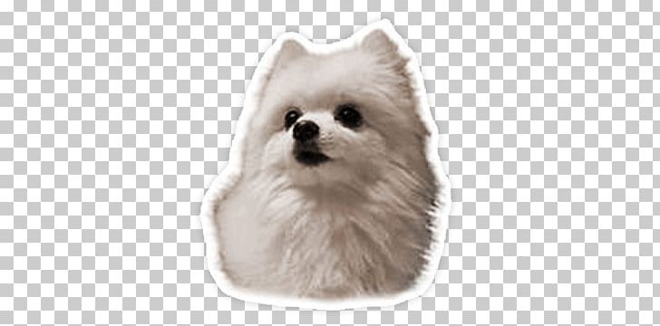 Gabe The Dog Sticker PNG, Clipart, Bork, Gabe The Dog, Memes Free PNG Download