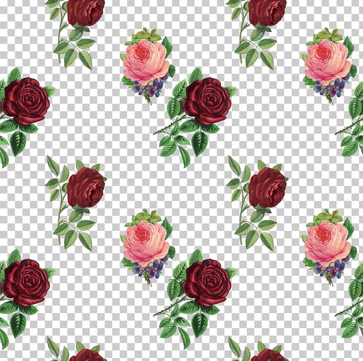 Garden Roses Flower Photography PNG, Clipart, Centifolia Roses, Cut Flowers, Digital Image, Flora, Floral Design Free PNG Download