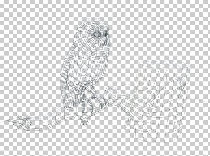 Owl Line Art Sketch PNG, Clipart, Animals, Artwork, Beak, Bird, Bird Of Prey Free PNG Download