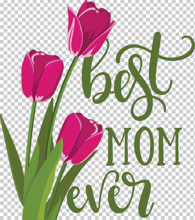 Mothers Day Best Mom Ever Mothers Day Quote PNG, Clipart, Best Mom Ever, Color, Cut Flowers, Floral Design, Floristry Free PNG Download