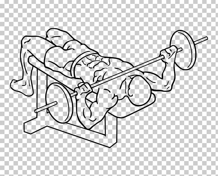 Bench Press Fly Weight Training Dumbbell PNG, Clipart, Angle, Area, Art, Auto Part, Barbell Free PNG Download