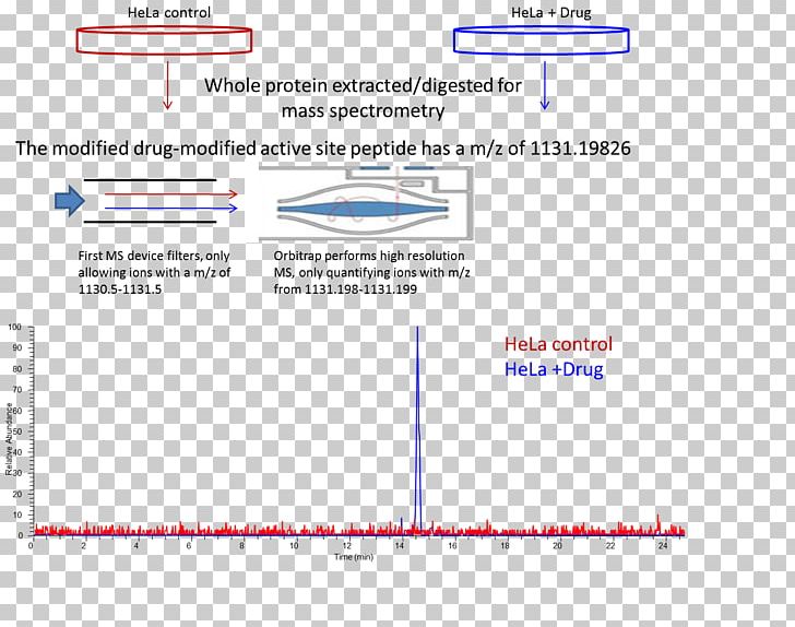 Document Line Angle PNG, Clipart, Angle, Area, Art, Diagram, Document Free PNG Download