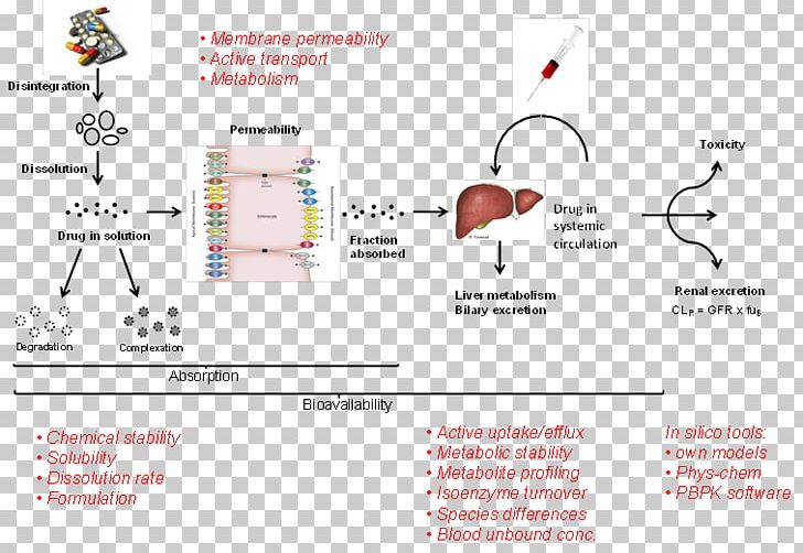 Microsome ADME Assay Drug Metabolism PNG, Clipart, Absorption, Adme, Area, Assay, Blood Plasma Free PNG Download