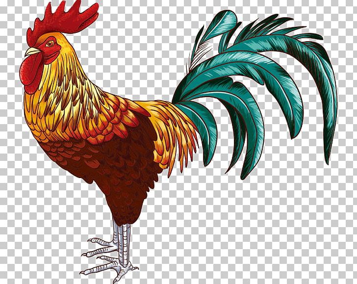 Modern Game Fowl Rooster Wall Decal Sticker PNG, Clipart, 2017 Big Cock,  Adhesive, Animal, Animals, Badminton