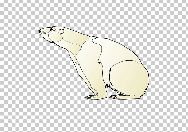 Polar Bear Earless Seal Otter Rabbit PNG, Clipart, Animals, Beak, Bear, Bear, Carnivoran Free PNG Download