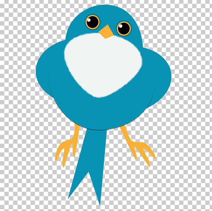 Portable Network Graphics Bird Pixabay PNG, Clipart, Beak, Bird, Bird Of Prey, Copyright, Download Free PNG Download