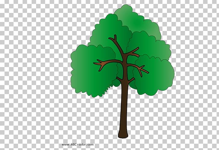 Self-reflection Tree Lesson Homo Sapiens Master Class PNG, Clipart, Actividad, Apples, Class, Derevo, Drawing Free PNG Download