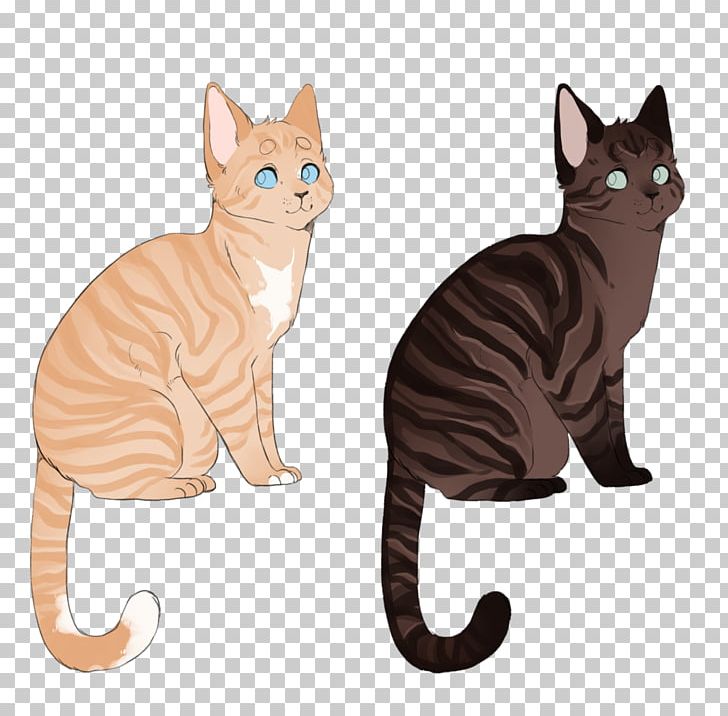 Whiskers American Wirehair Kitten Domestic Short-haired Cat Paw PNG, Clipart, American Wirehair, Animals, Asia, Asian, Asian People Free PNG Download
