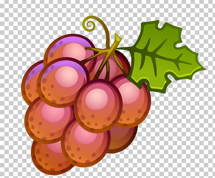 Wine Common Grape Vine PNG, Clipart, Blog, Bonbones, Christmas Ornament, Common Grape Vine, Flowering Plant Free PNG Download