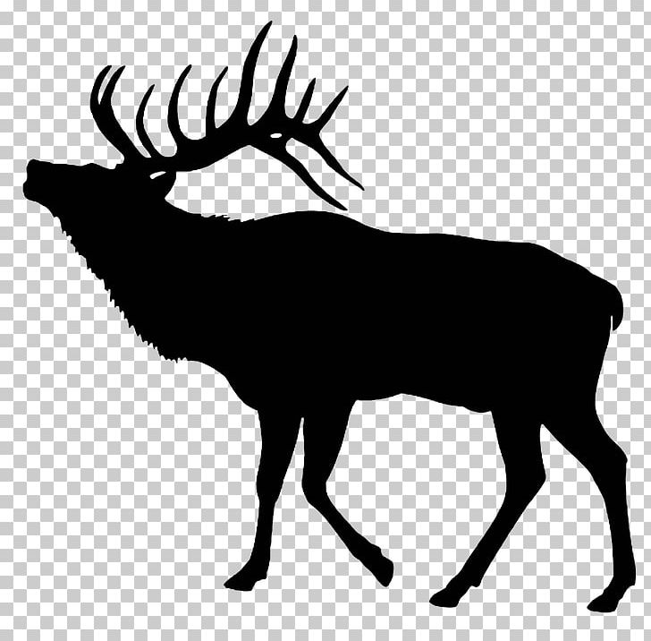 Elk Deer PNG, Clipart, Antler, Black And White, Deer, Drawing, Elk Free PNG Download