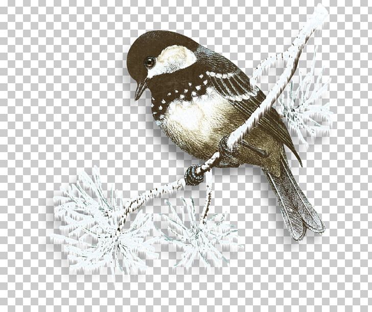 Snow Flurry Winter Bird PNG, Clipart, Beak, Bird, Bird Cage, Birdie, Birds Free PNG Download