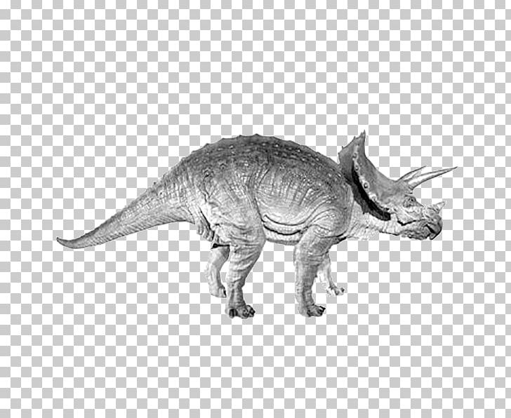 Triceratops Tyrannosaurus Dinosaur PNG, Clipart, Animal, Black And White, Cartoon Dinosaur, Creative, Crocodiles Free PNG Download