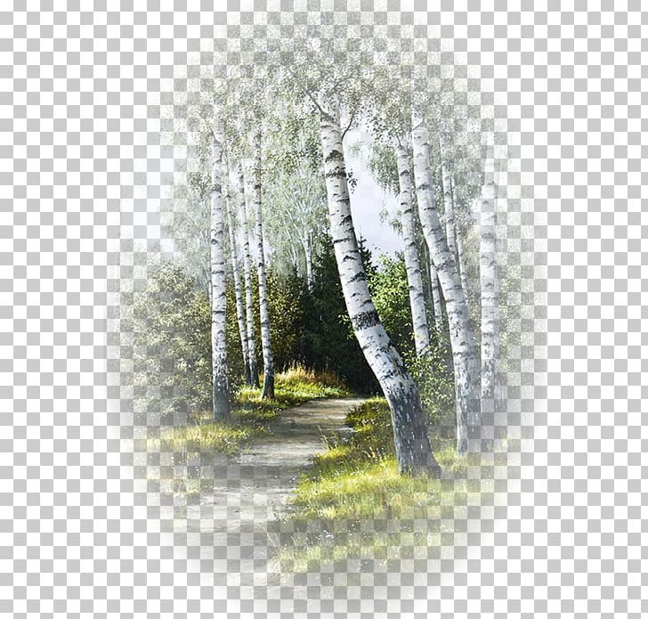 Watercolor Painting Landscape Painting Art Forest PNG, Clipart, Art, Artist, Birch, Branch, Canvas Free PNG Download