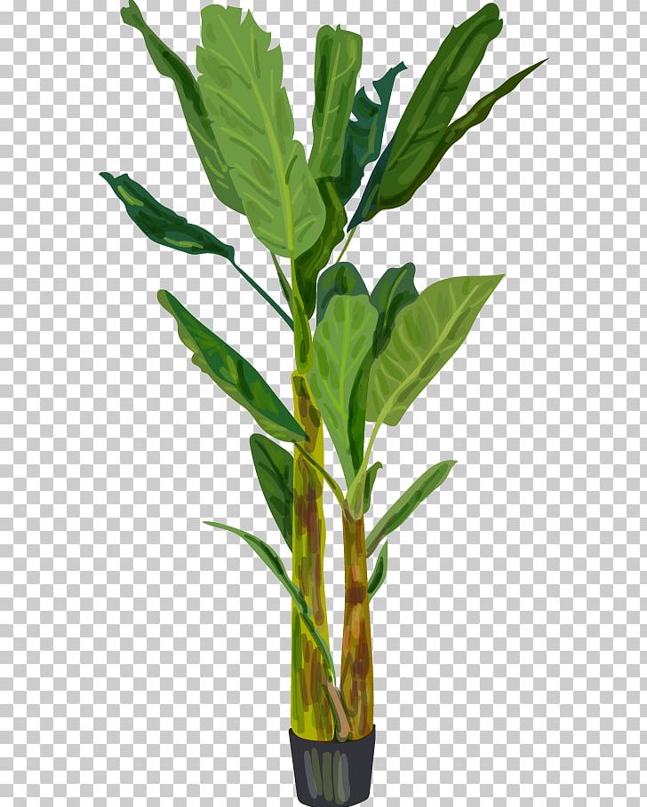 Banana Leaf PNG, Clipart, Art, Background Green, Banana, Banana Leaf ...