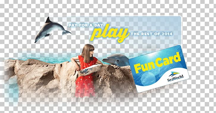 Brand Water Vacation PNG, Clipart, Advertising, Banner, Brand, Graphic Design, Nature Free PNG Download