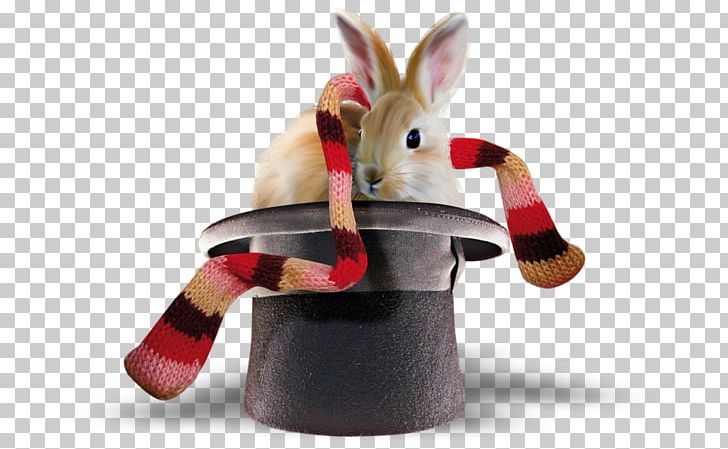 European Rabbit Leporids Hat Scarf PNG, Clipart, Animals, Chef Hat, Christmas Hat, Cowboy Hat, Designer Free PNG Download